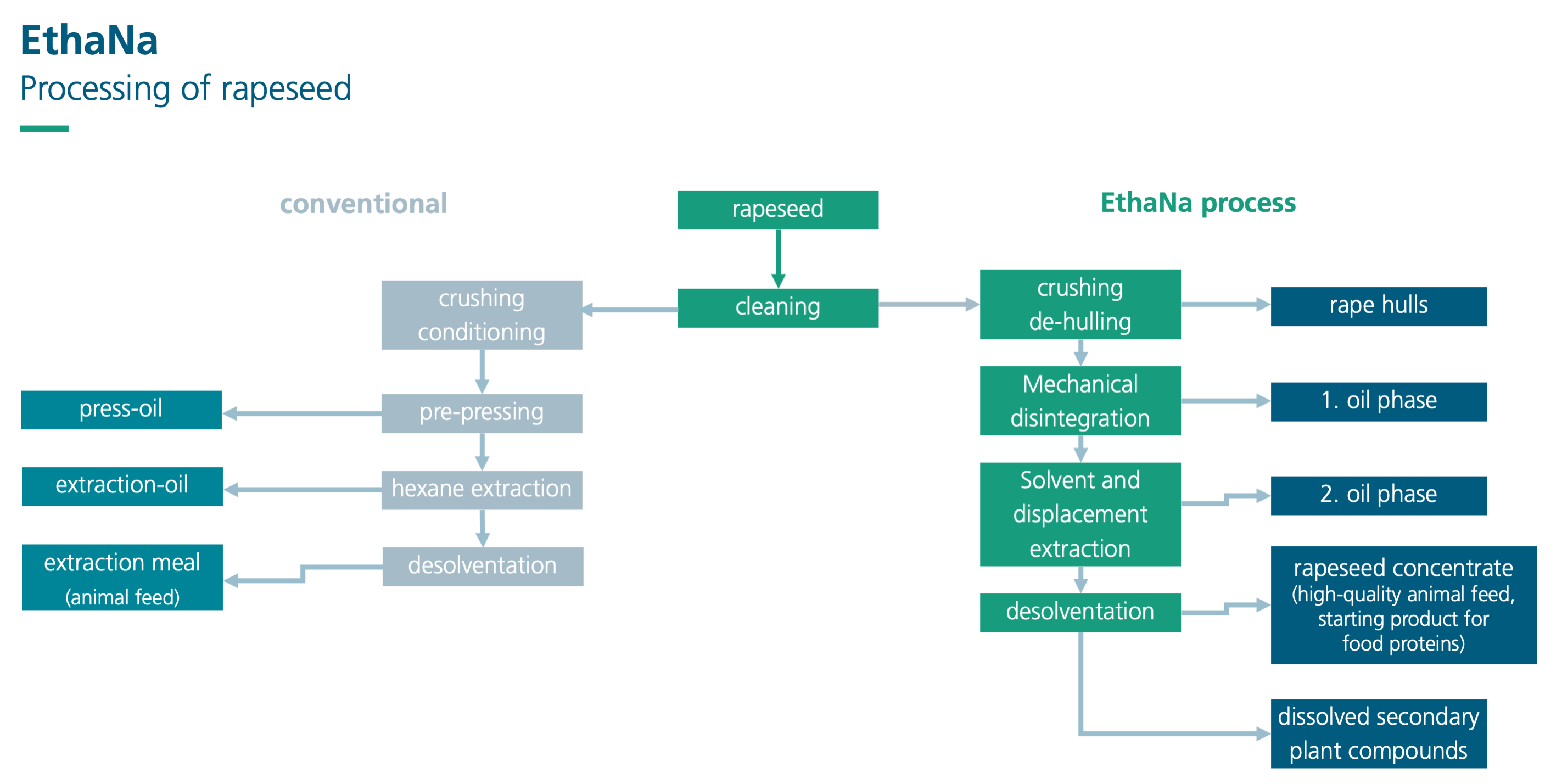 Schematic representation of the processing of rapeseed: conventional processing in industrial oil mills (left) compared to the EthaNa process based on ethanolic native extraction (right).